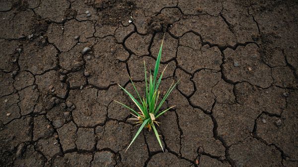 Transmettre des sols pollués : responsabilités du vendeur en vente